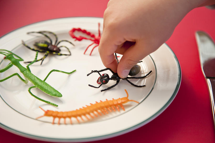 Hand reaching for insects on a plate Photograph by Jenny Dettrick