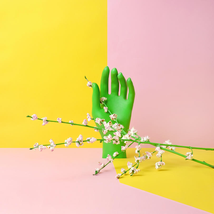 Hand with Flowering Popcorn Photograph by Juj Winn
