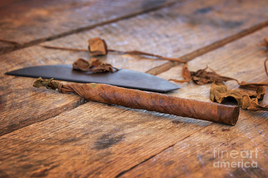 Handmade cuban cigar, Cuba Photograph by Delphimages Photo Creations