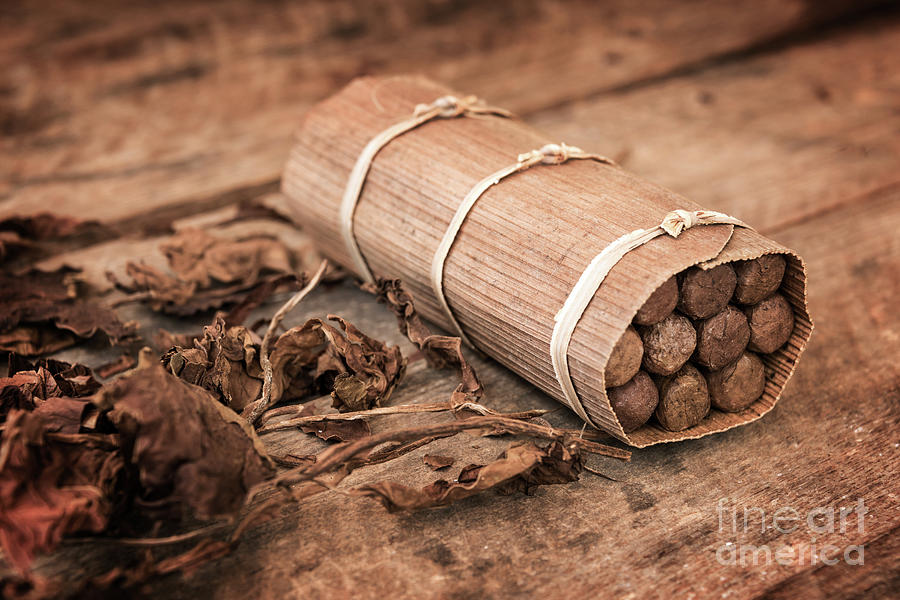Handmade cuban cigars Photograph by Delphimages Photo Creations