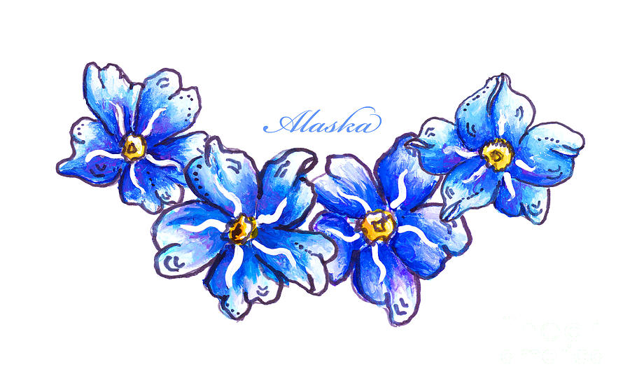 Handpainted Alaskan Forget Me Nots, Alaska State Flower Art by MeganAroon Painting by Megan Aroon