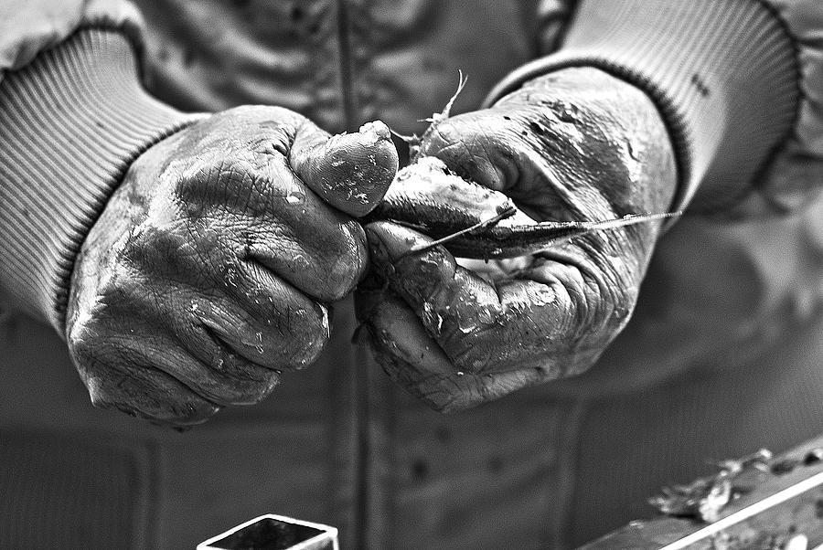 Fish hands Photograph by Al Fio Bonina