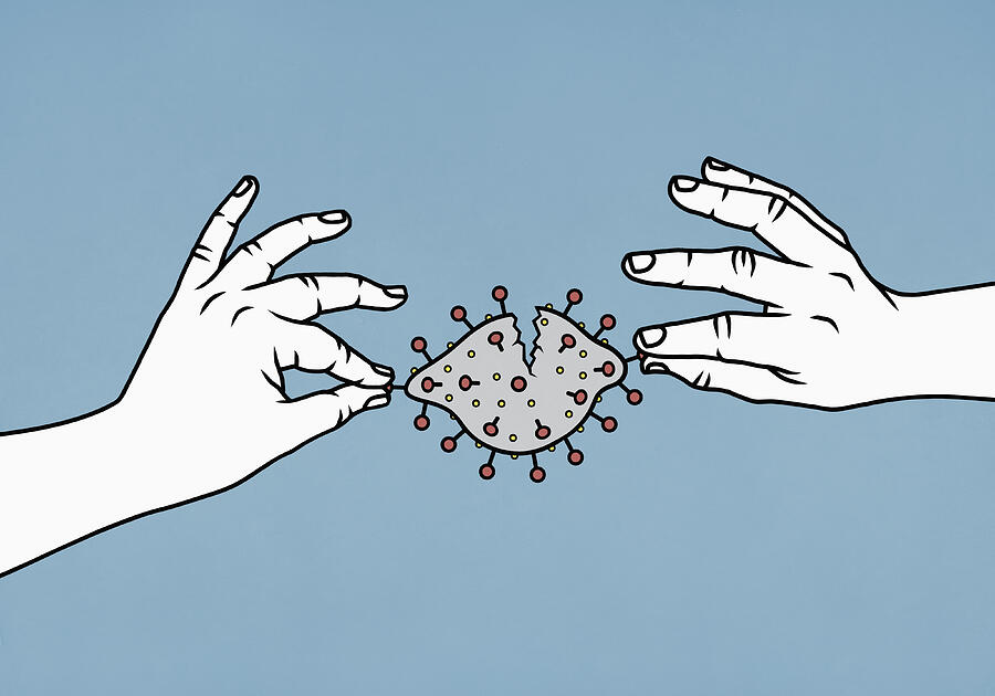 Hands dismantling coronavirus pathogen Drawing by Malte Mueller