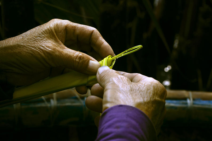 Hands form a palm leaf into a small work of art Photograph by Bernd Schunack