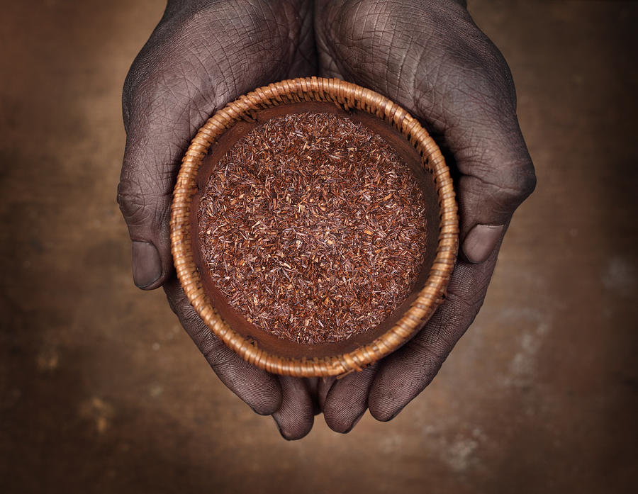 Hands holding a bowl with rooibos tea Photograph by Narvikk