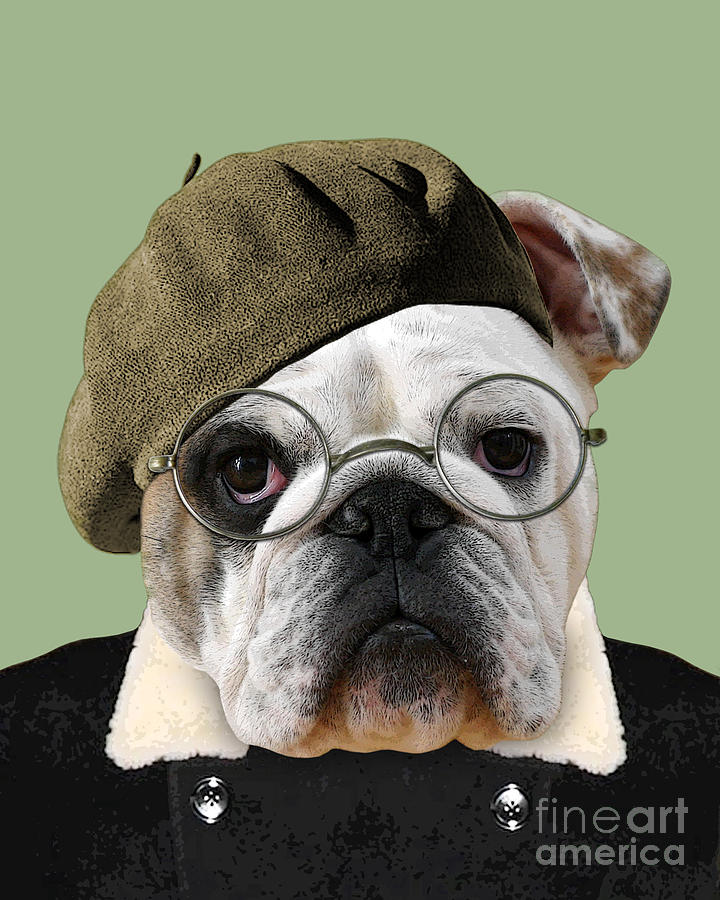 Dog Mixed Media - Handsome Bulldog Portrait by Madame Memento