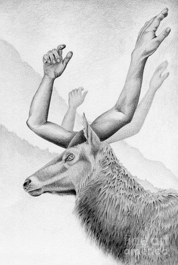 Trophy Buck - Graphite Pencil Drawing by Julio Lucas :: Behance