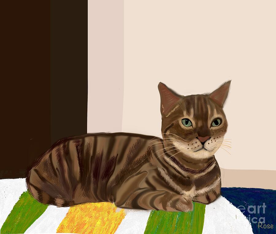Handsome Kasar cat portrait  Digital Art by Elaine Hayward