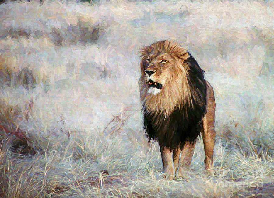 Handsome Lion Digital Art by Liz Leyden