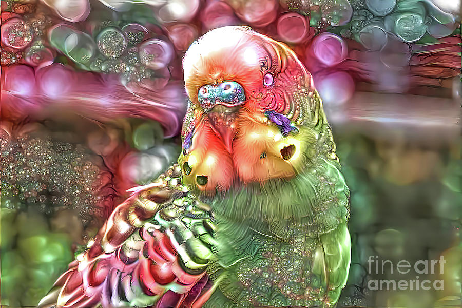 Parakeet Digital Art - Handsome Parakeet by Elisabeth Lucas