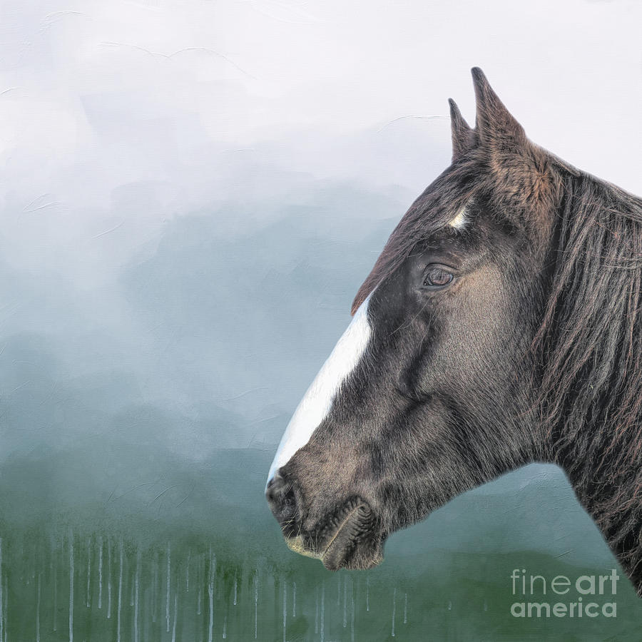 Gypsy Horse Mixed Media - Handsome Pinto Portrait by Elisabeth Lucas