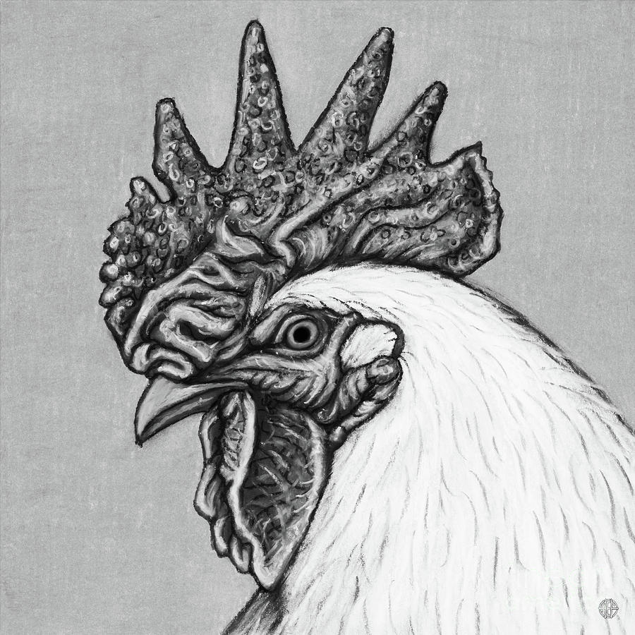 Handsome White Rooster. Black and White Drawing by Amy E Fraser