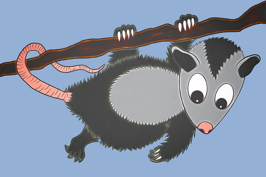 Hang in There Opossum Digital Art by John Haldane