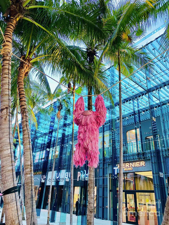 Hanging Around in Miami Photograph by Beth Saffer