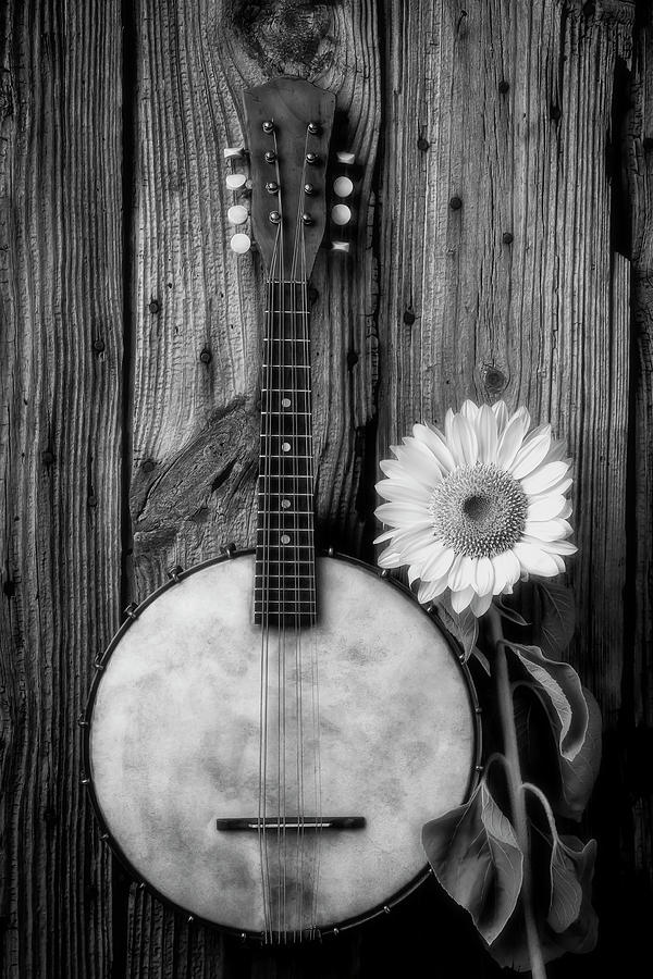 Still Life Photograph - Hanging Banjo And Sunflower In Black And White by Garry Gay