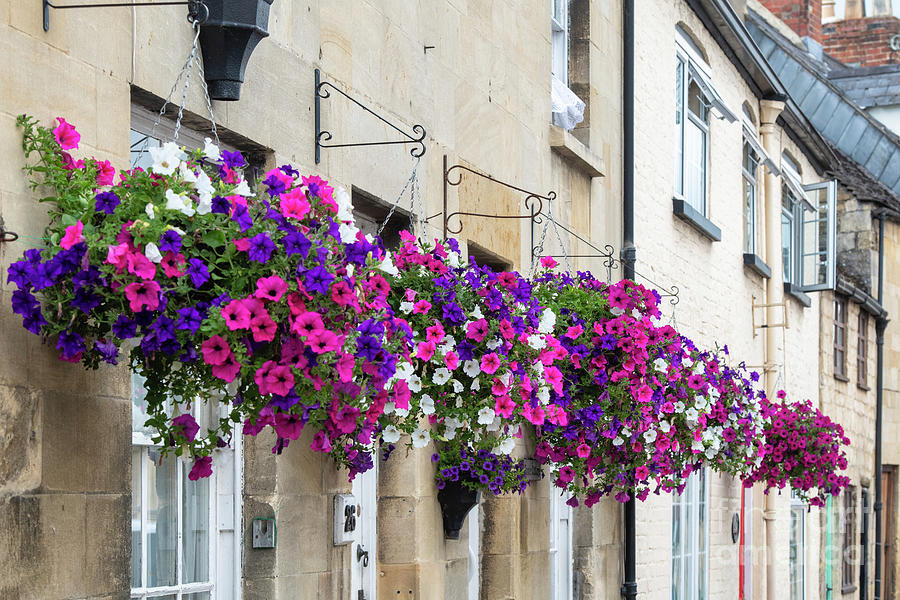 Hanging Baskets in the Cotswold Town of Winchcombe Photograph by Tim Gainey