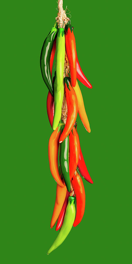 Hanging Chile Peppers on Green Background Photograph by SR Green