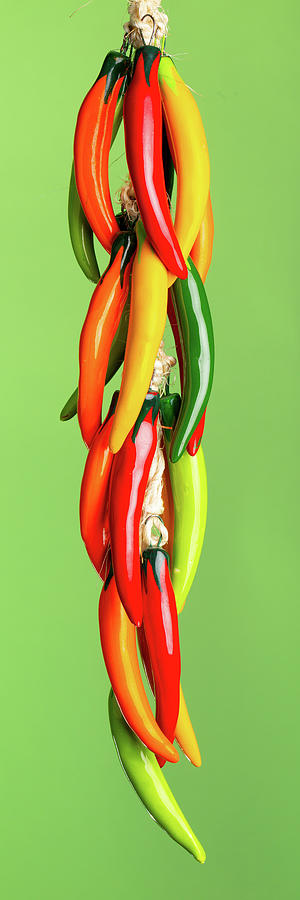 Hanging Chile Peppers on Light Green Background Photograph by SR Green