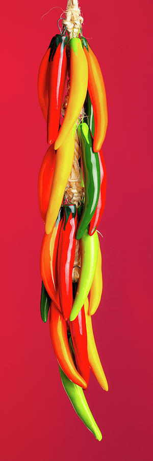 Hanging Chile Peppers on Red Background Photograph by SR Green