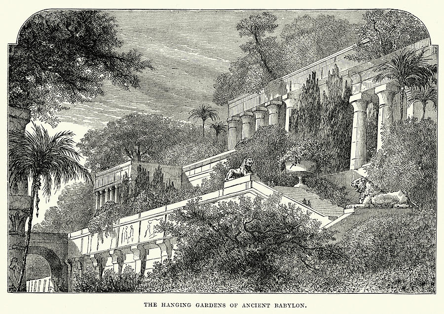Hanging Gardens of Babylon Drawing by Duncan1890
