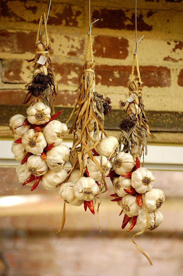 Hanging Garlic Photograph by Laverrue Was Here