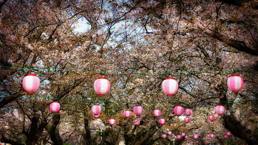 Hanging Lanterns Photograph by Bill Chizek