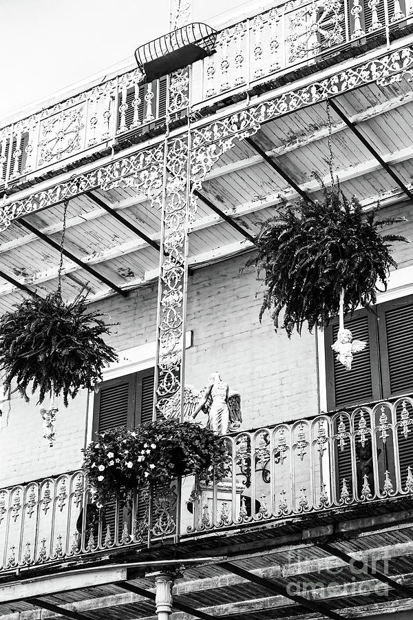 Hanging on the French Quarter Balcony in New Orleans Photograph by John Rizzuto