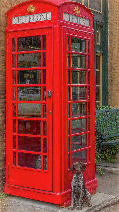Hanging Out by the Phone Booth, Vertical Photograph by Marcy Wielfaert