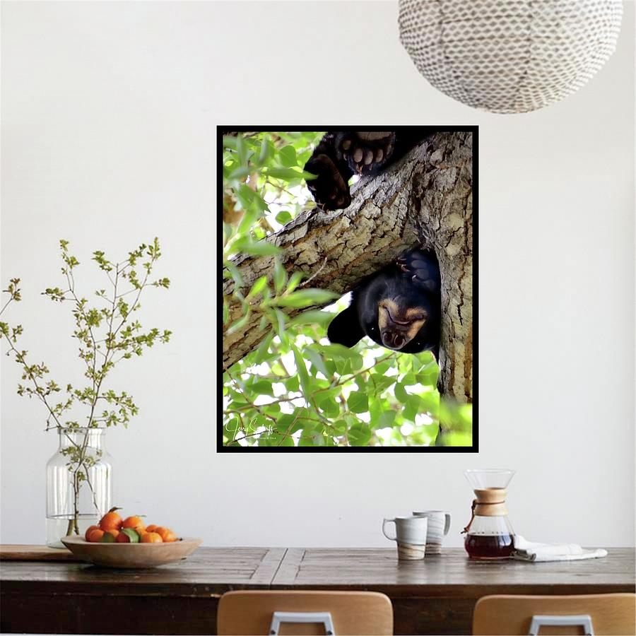 Hanging Print Example Bear Photograph by Jerry Sodorff