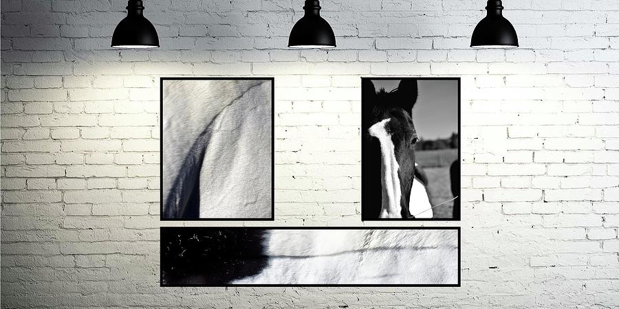 Hanging Print Example.  Horses Photograph by Jerry Sodorff