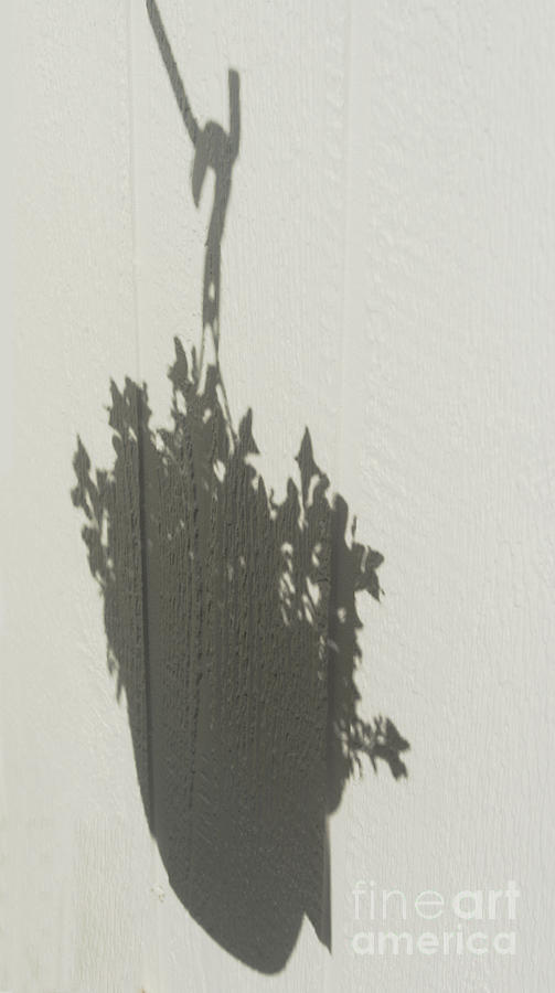 Hanging Shadow Photograph by Kae Cheatham