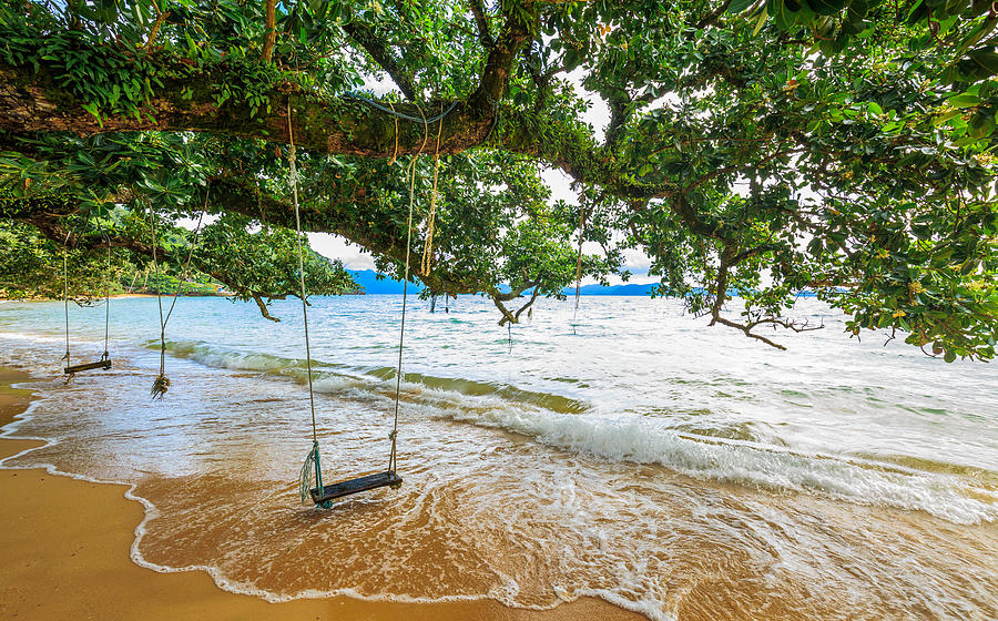 Hanging swing and large old tree on beach Photograph by Somnuk Krobkum