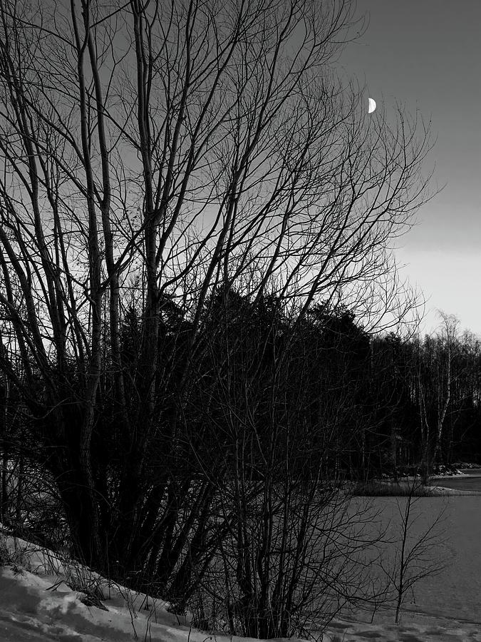 Nature Photograph - Hanging the moon. Mahnala bw by Jouko Lehto