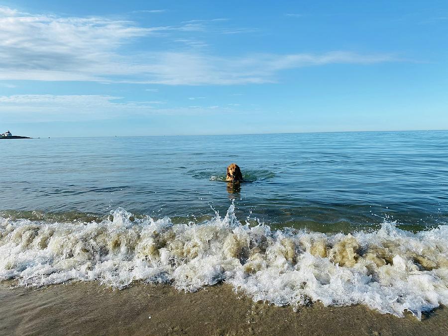 Happiness Defined Photograph by Elizabeth OHara - Fine Art America