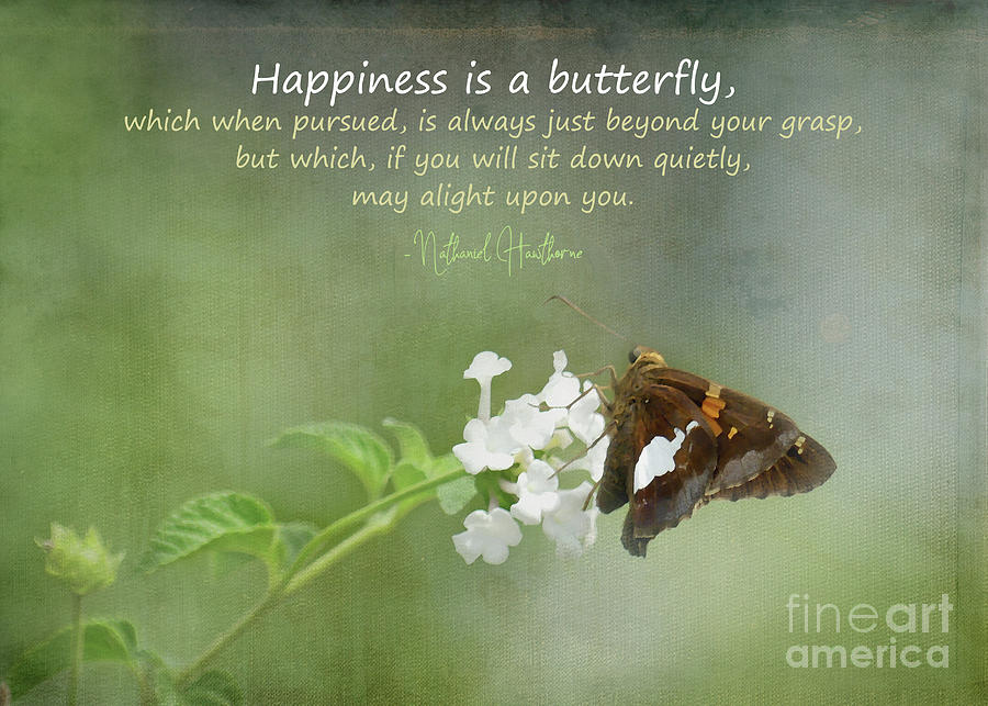 Happiness is a butterfly  Photograph by Amy Dundon
