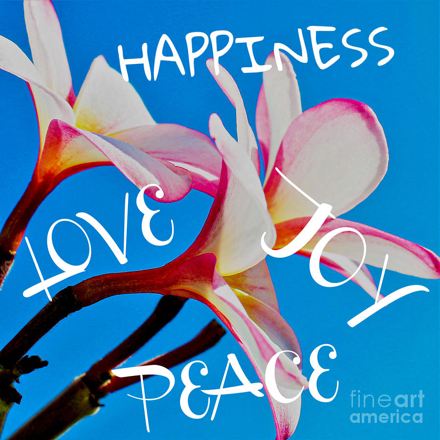Happiness, Love, Joy and Peace Photograph by Joanne Carey