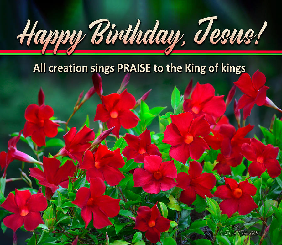 Happy Birthday, Jesus Photograph