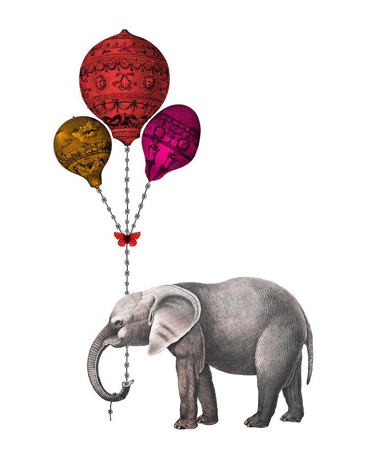 Elephant Digital Art - Happy Birthday by Madame Memento