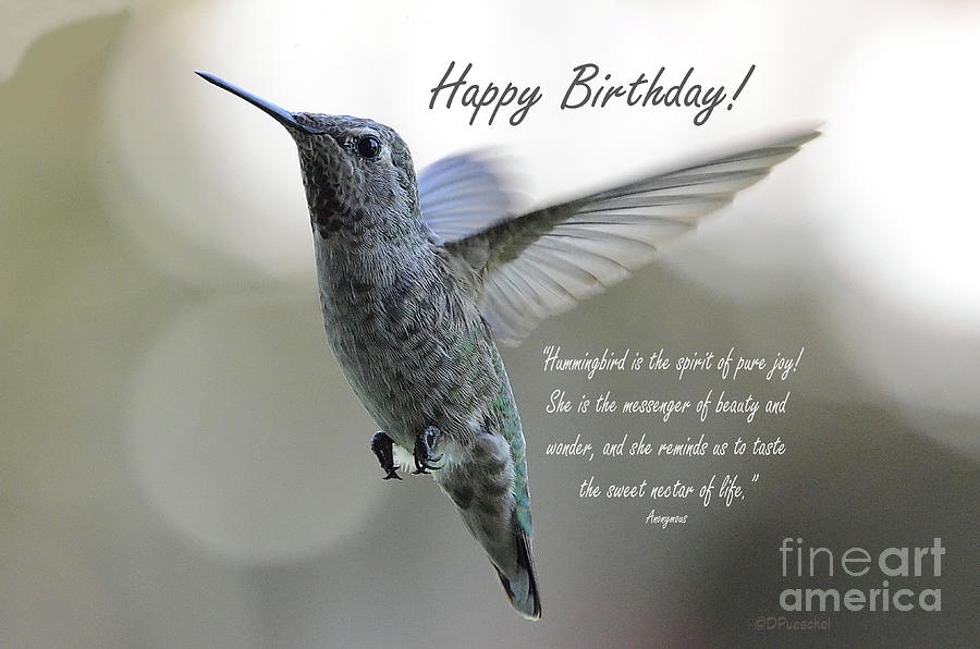 Happy Birthday Spirit Of Pure Joy Greeting Card Photograph