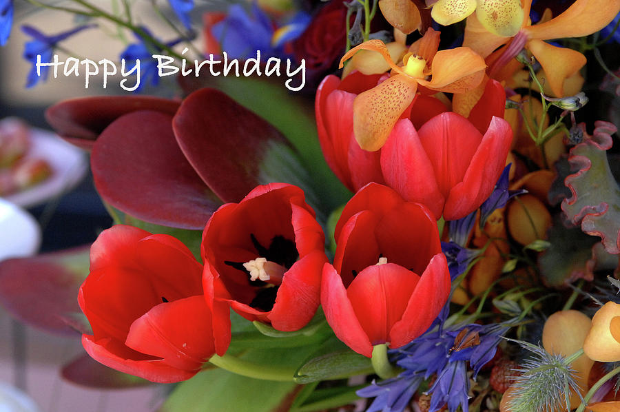 Happy Birthday Tulips Photograph by Bonnie Colgan