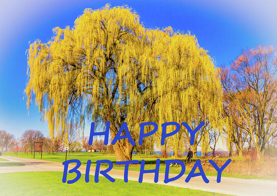 Happy Birthday Yellow Tree Photograph by James C Richardson