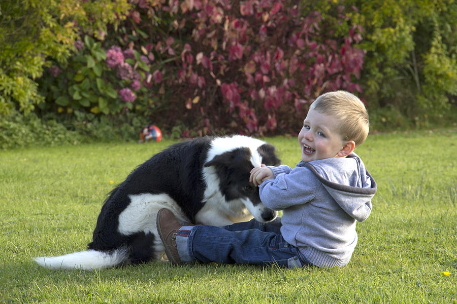 Happy boy plays with dog in garden Photograph by Miss Pearl