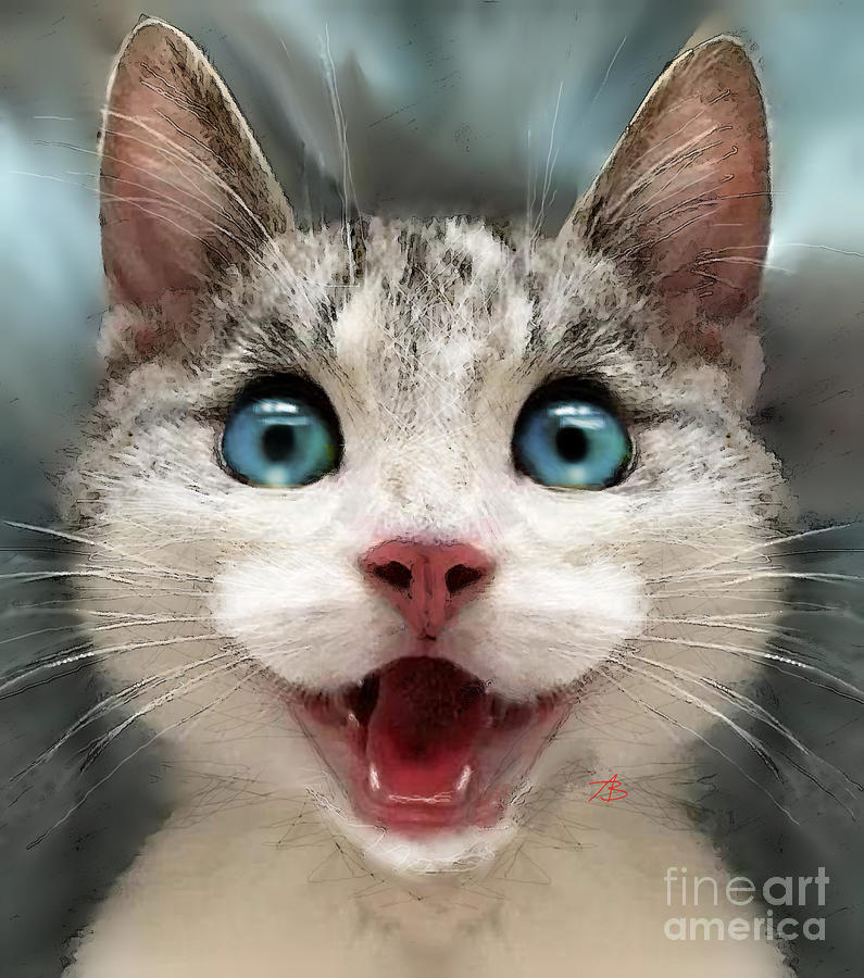 super excited face cat
