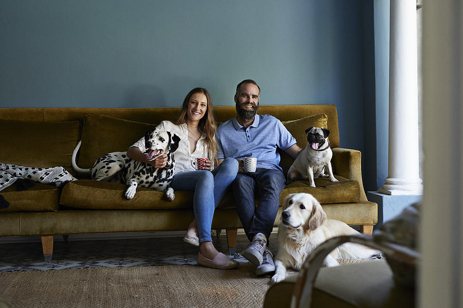 Happy couple sitting in sofa with their 3 dogs Photograph by Klaus Vedfelt