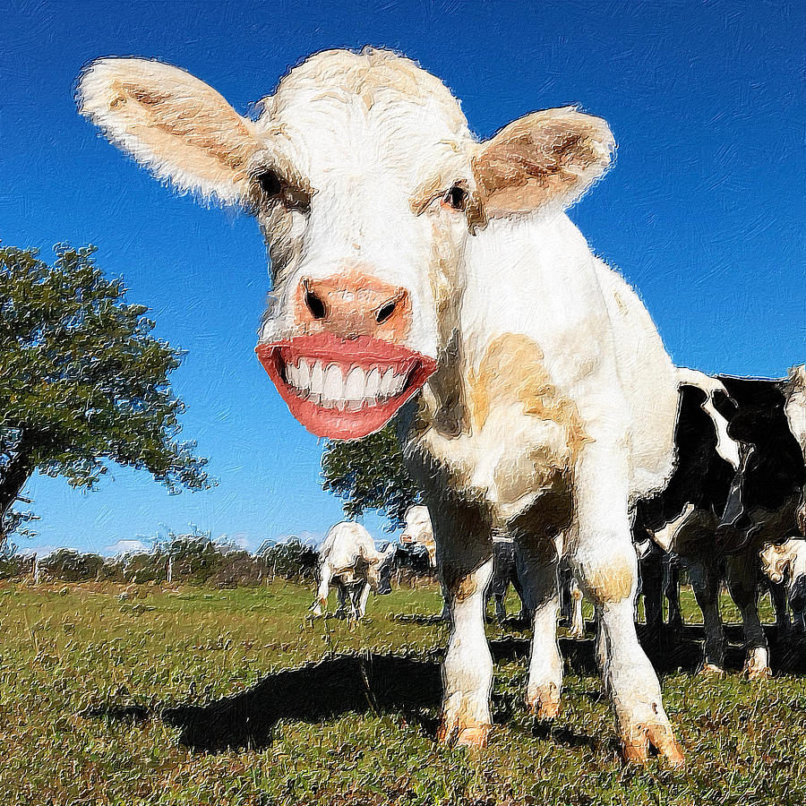 Happy Cow Smile by Tony Rubino