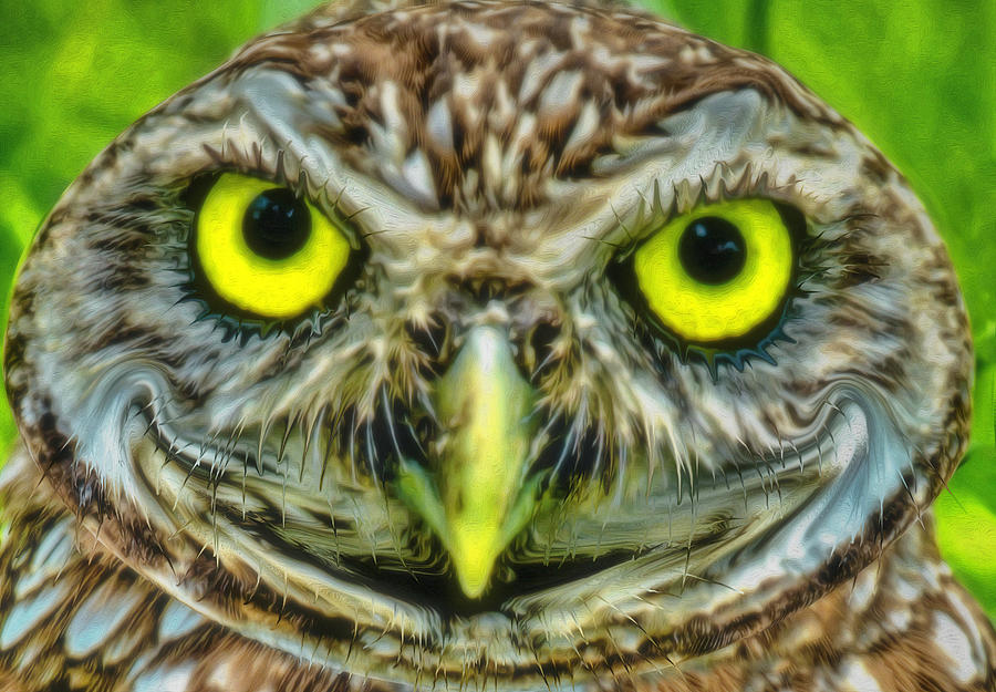 Happy Creepy Owl Digital Art by Debra Kewley