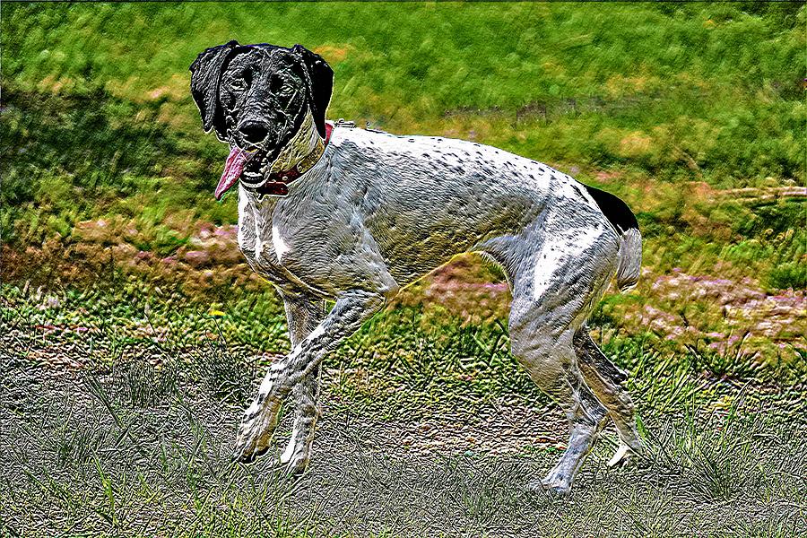 Happy Dog Digital Art by Addison Likins