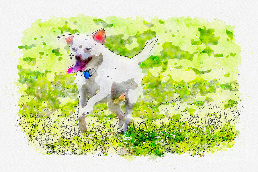 Happy Dog Digital Art by Matthew Nelson