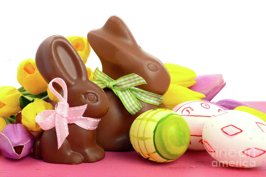 Happy Easter chocolate bunny rabbits Photograph by Milleflore Images