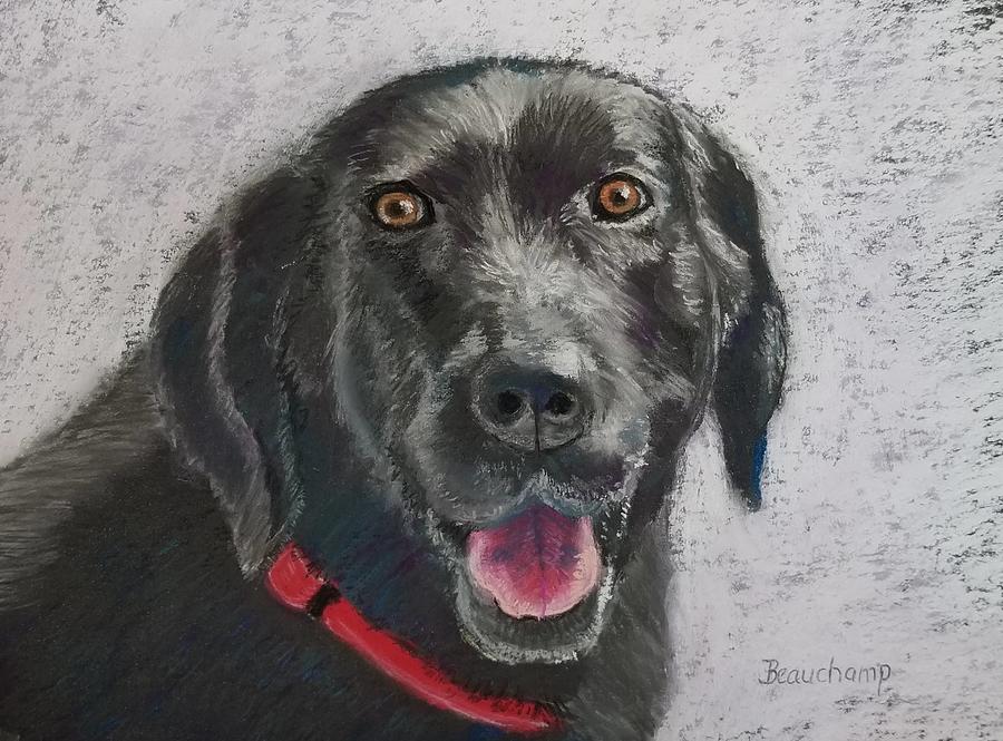Happy Face Lab Pastel by Nancy Beauchamp